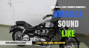 Triumph Bonneville America 2003: A Deep Dive into Its Unique Sound