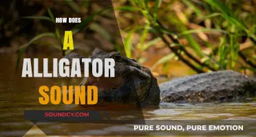 Unveiling the Unique Sounds of Alligators: A Comprehensive Guide