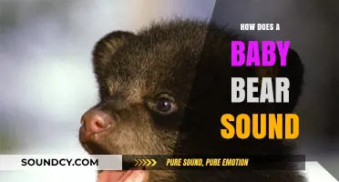 Unveiling the Adorable Vocalizations of Baby Bears: A Sound Guide
