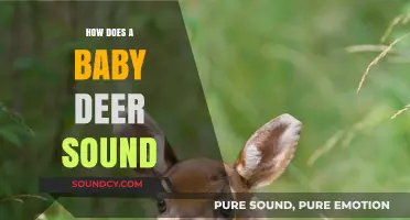 Discovering the Gentle Bleats: How Does a Baby Deer Sound?