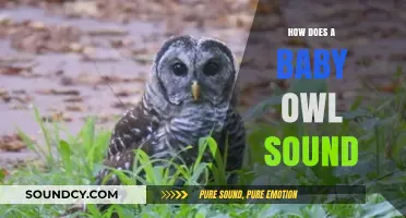 Unveiling the Mysterious and Adorable Sounds of Baby Owls