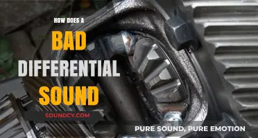 Identifying a Failing Differential: Unusual Noises and Warning Signs