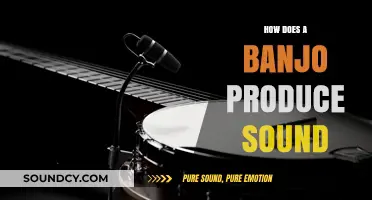 How Banjos Create Sound: The Science Behind the Strings and Drum