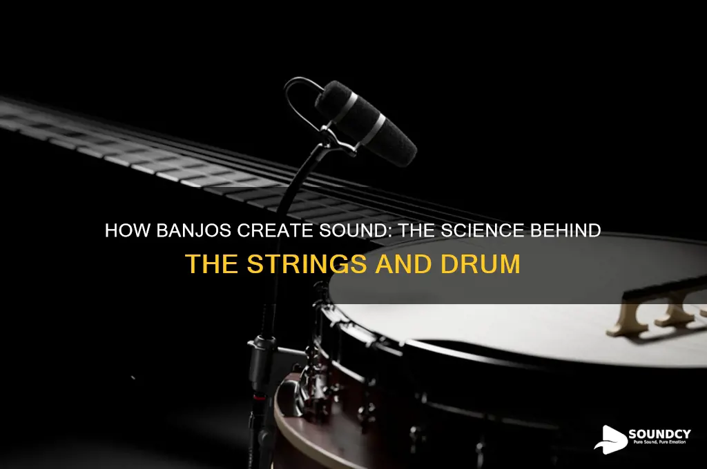 how does a banjo produce sound