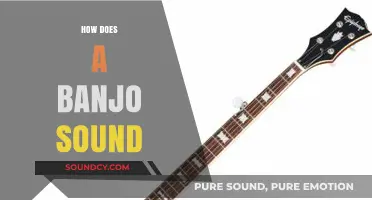 Exploring the Unique Twang and Rhythm of Banjo Sounds