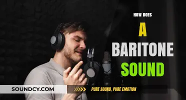 Exploring the Rich, Warm, and Versatile Sound of a Baritone Voice