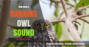 Unveiling the Unique Call: How Does a Barking Owl Sound?