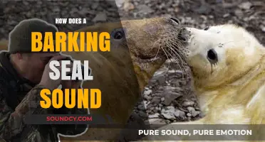 Unveiling the Unique Vocalizations: How Does a Barking Seal Sound?
