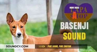 Unusual Bark: Understanding the Unique Yodel of a Basenji Dog