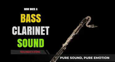 Exploring the Rich, Deep, and Versatile Sound of the Bass Clarinet