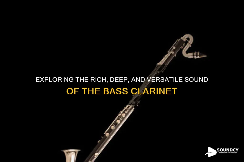 how does a bass clarinet sound