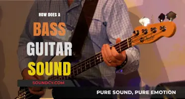 Understanding the Rich, Deep, and Versatile Sound of a Bass Guitar