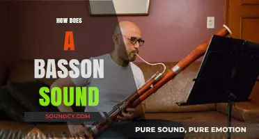 Exploring the Rich, Deep, and Versatile Sound of the Bassoon