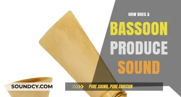 Unveiling the Bassoon's Magic: How Double Reeds Create Rich Sounds