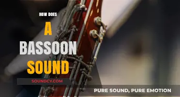 Exploring the Rich, Deep, and Unique Sound of the Bassoon