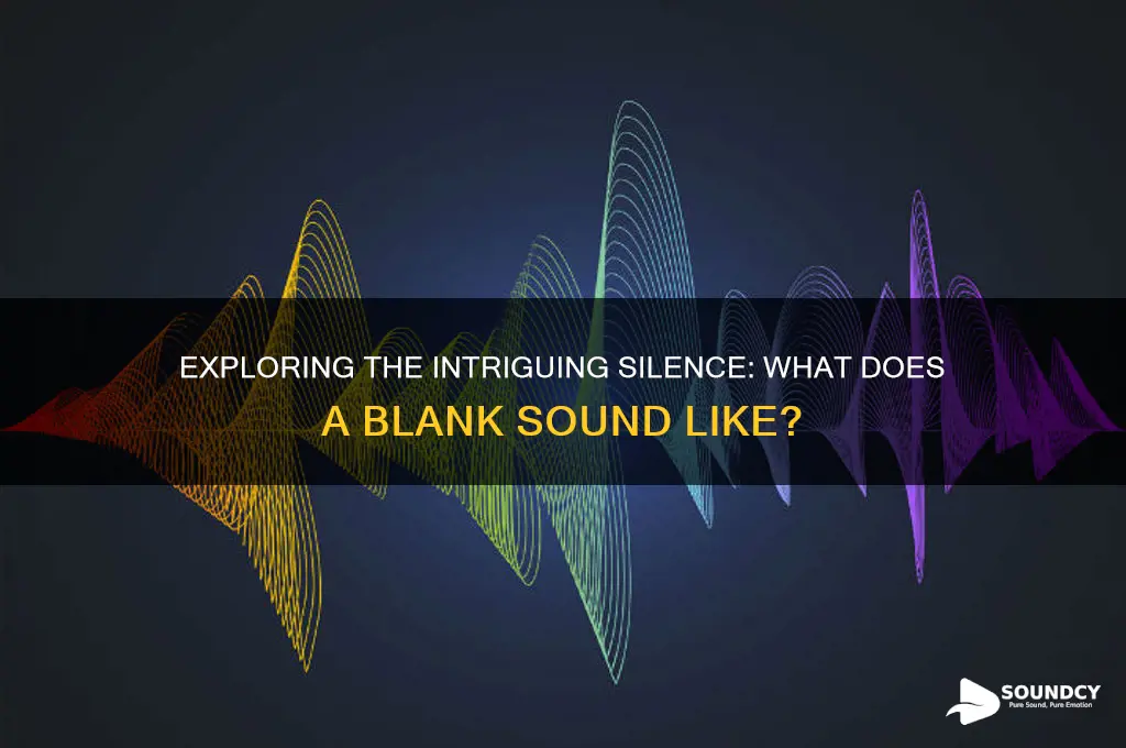 how does a blank sound