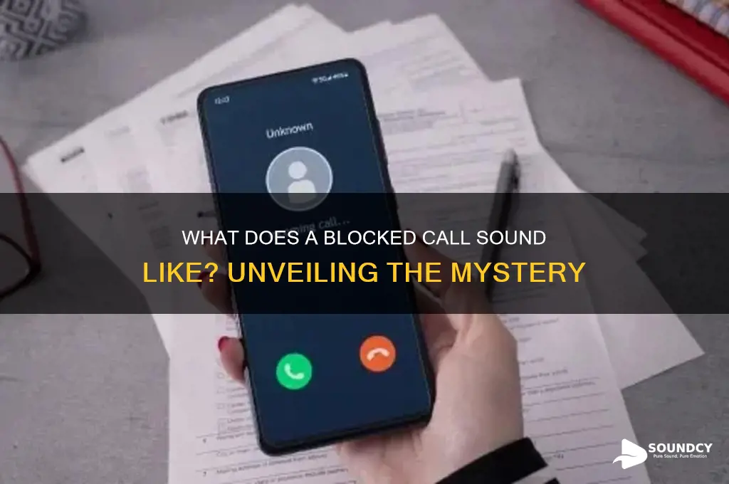 how does a blocked call sound
