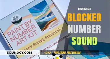 What Does a Blocked Number Sound Like? Unveiling the Mystery