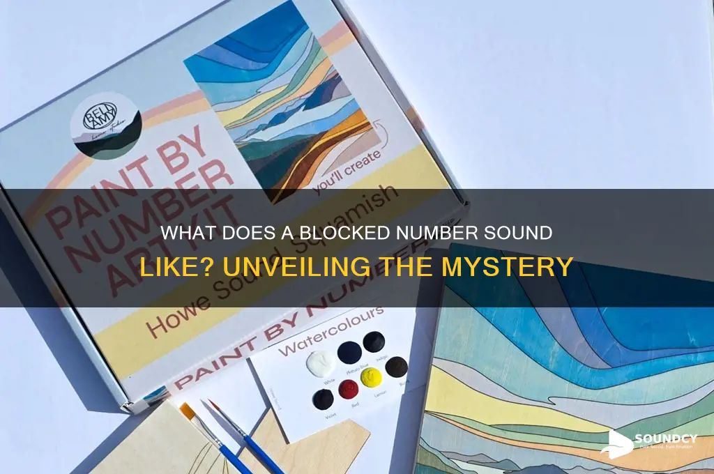 how does a blocked number sound