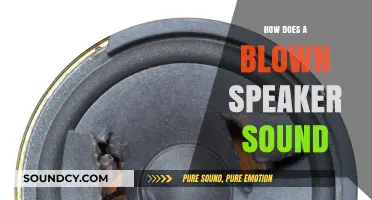Understanding the Distorted Sound of a Blown Speaker: Causes and Effects