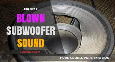 What Does a Blown Subwoofer Sound Like? A Detailed Guide