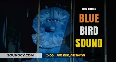Exploring the Enchanting Melodies of the Blue Bird's Song