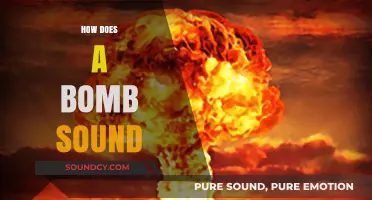 Explosive Acoustics: Decoding the Distinct Sounds of a Bomb Detonation
