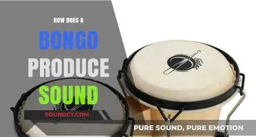 Unveiling the Vibrant Resonance: How Bongos Create Their Unique Sound