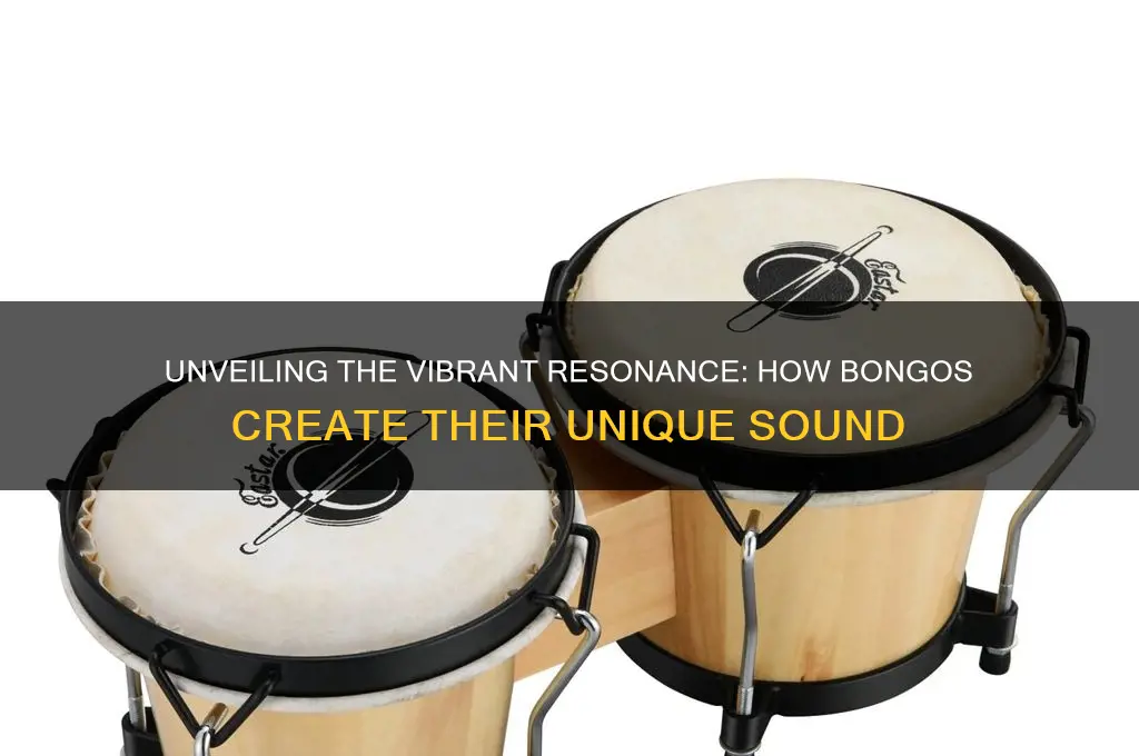 how does a bongo produce sound
