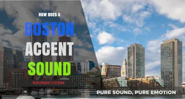 Unraveling the Unique Cadence of Boston's Iconic Accent