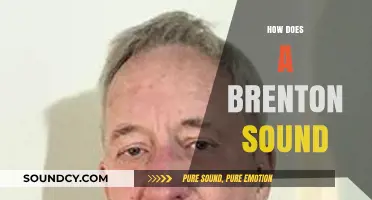 Exploring the Unique Sound and Style of a Brenton Instrument