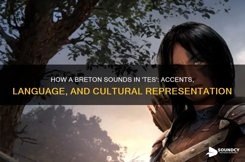 how does a breton sound tes