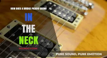 Exploring the Warm, Smooth Tone of a Neck Bridge Pickup