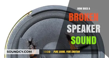 Unraveling the Distorted Audio: What a Broken Speaker Sounds Like