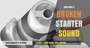 Identifying a Faulty Starter: Unusual Noises and Symptoms to Watch For
