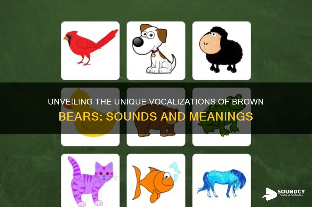 how does a brown bear sound