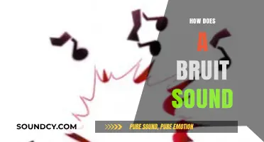Understanding the Distinctive Sound of a Bruit: A Comprehensive Guide