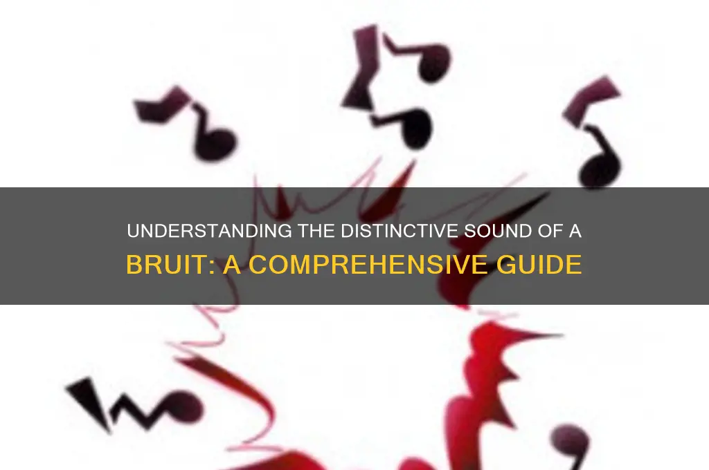 how does a bruit sound