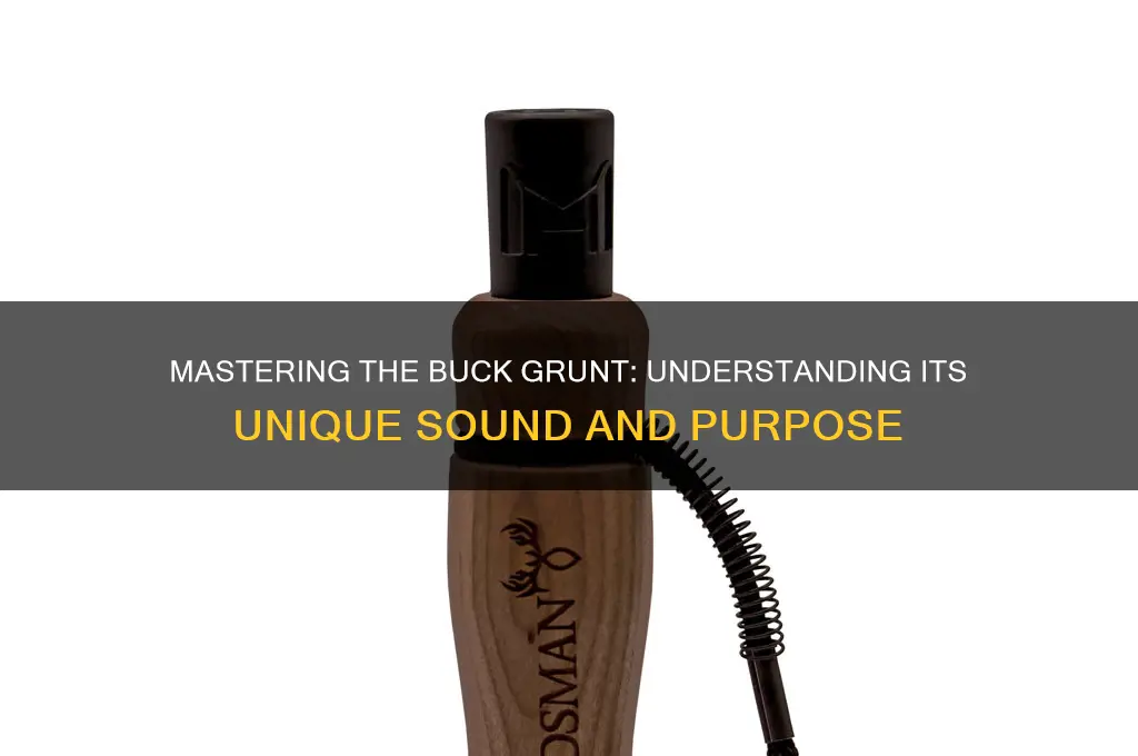 how does a buck grunt sound