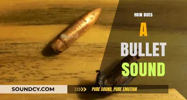 The Sonic Boom of Bullets: Unraveling the Sound of Gunfire