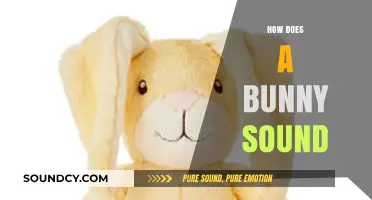 Discover the Adorable and Unique Sounds Bunnies Make: A Guide