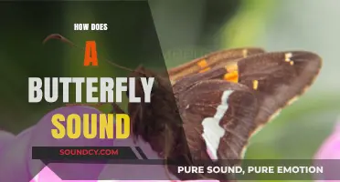 Unveiling the Subtle Sounds of Butterflies: A Surprising Auditory Journey