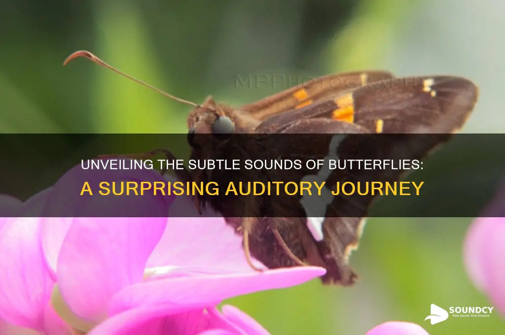 how does a butterfly sound