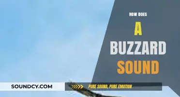 Unveiling the Unique Vocalizations: How Does a Buzzard Sound?