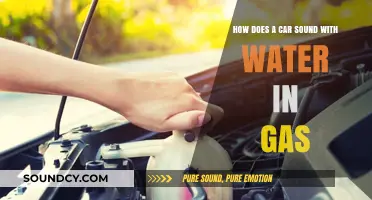 Water in Gas: How It Affects Your Car's Engine Sound