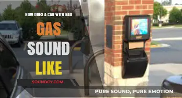 How a Car with Bad Gas Sounds: Symptoms and Solutions