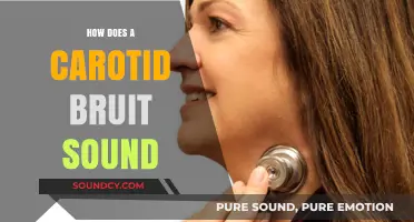 Understanding the Distinct Sound of a Carotid Bruit: A Guide