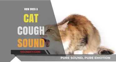 Understanding Your Cat's Cough: Sounds, Causes, and When to Worry