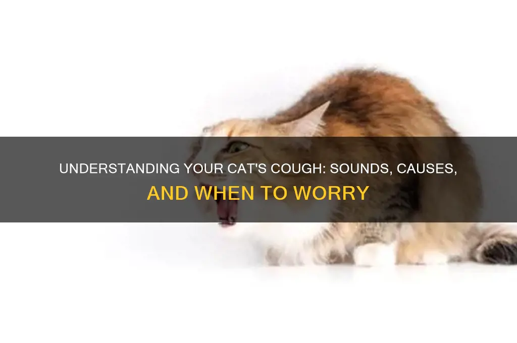 how does a cat cough sound