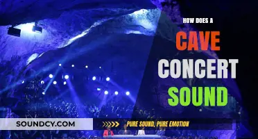 Echoes in the Dark: Experiencing the Unique Acoustics of Cave Concerts